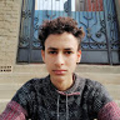 محمود الفقي