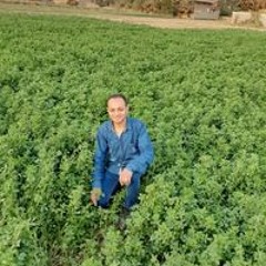 محمد عبد الله