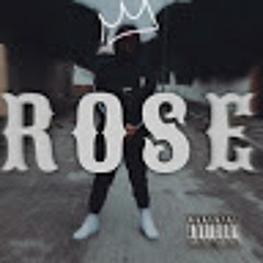 Rose43