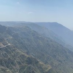 ريان الحربي