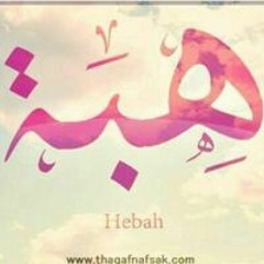 Heba M. Salameh