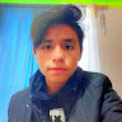 Christian Máximo Gallegos