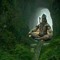 Shiva Velu