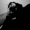 Neverlucky Simad