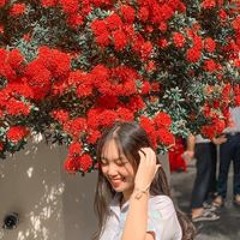 Nguyễn Thảo