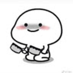 Fan Attack on titan  VN