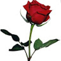 Ahmad Aljrrary