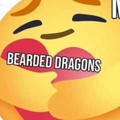 L G
