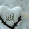 Saarh