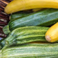 Zucchini