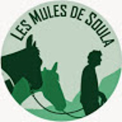 Les Mules de Soula
