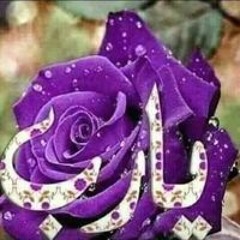 احمدحمدي سنهابي