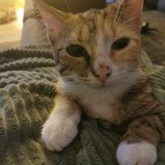 /̵͇̿̿/'̿̿¯̿̿¯̿̿ 𝐻𝑖𝑠 𝑝𝑟𝑒𝑡𝑡𝑖𝑒𝑠𝑡 𝑝𝑟𝑜𝑏𝑙𝑒𝑚 /̵͇̿̿/'̿̿¯̿̿¯̿̿