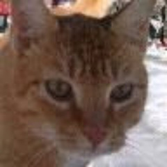 Jeremy R Clatterbuck