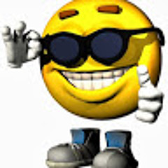 Sander-Richard Raudok