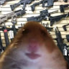 Just your average Rodent