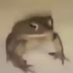 sixturo
