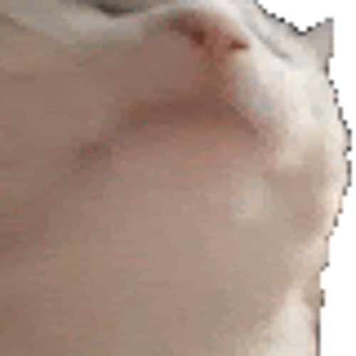 Steam Műhely::Белый кот