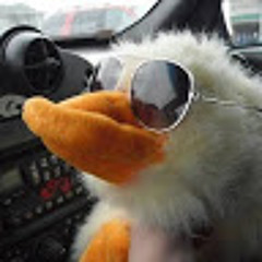 TheCoolDuckZ :D
