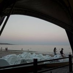 Александр Мальгунов