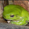 muzunu