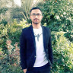 reza haseli
