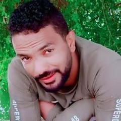 كورشي العركي