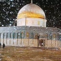 أبو أنس حمدان