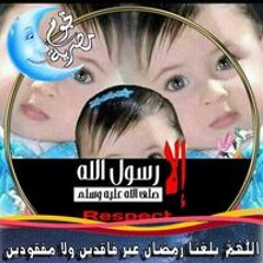زهرة البستان الوردى