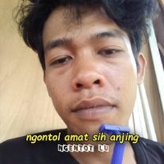 Budi Irawan