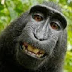 MohammedKKK