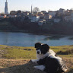 Buğra YILMAZ
