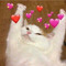 Nikuchan
