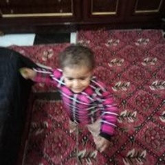 عبدالله احمد عمار