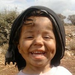 Shadi Danon