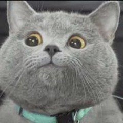 Артур Акимов