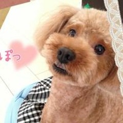 山下知美