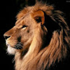 Ricardo R.M