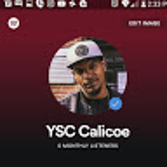 YSC Calicoe back up