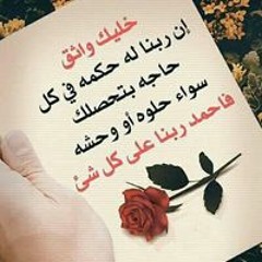 محمد السيد محمح السيد