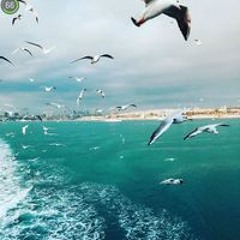 Noha Abdulqader