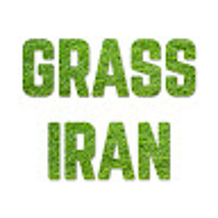Grass Iran24