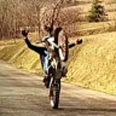 lorenzo _u1524