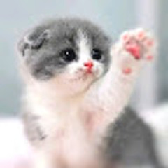 Ахметкали Мадина