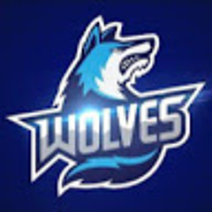 wolves gaming squad