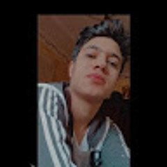 mahmoudelhanafy