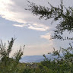 keidii