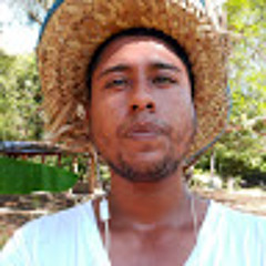 DARWIN ANOTA MARTINEZ