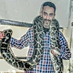 مصطفى حمزه