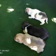 Stream Дима Катыпов music Listen to songs albums playlists for  